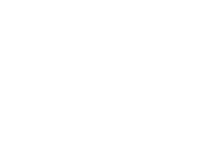 Logo Mesterbrev